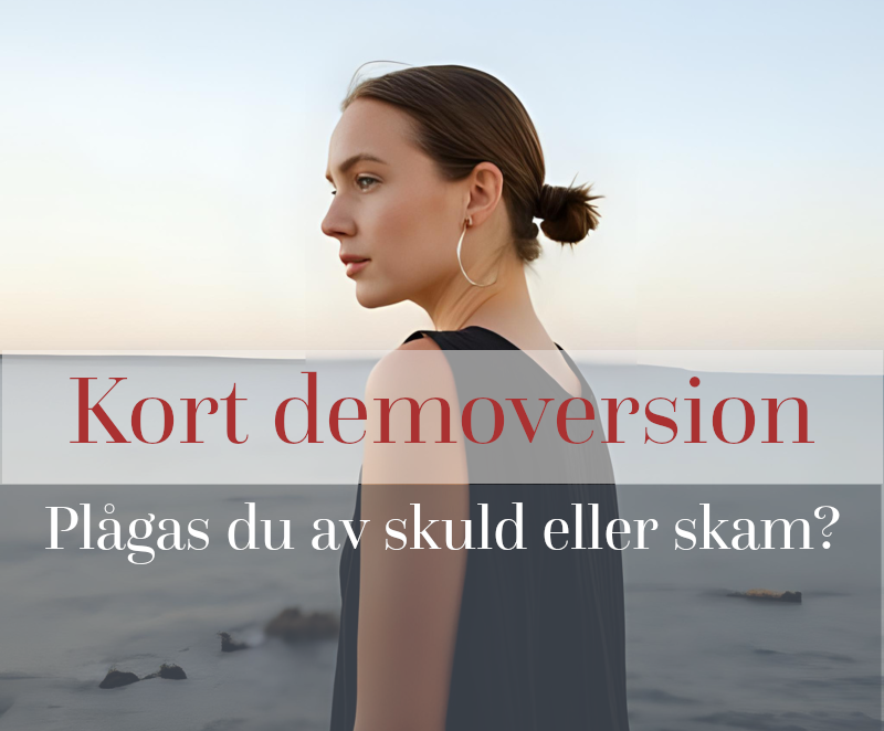 Demoversion: Plågas du av skuld eller skam?